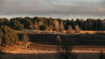 Общий вид забора на белорусско-польской границе на изображении, предоставленном Министерством обороны Польши 9 ноября 2021 г. Polish Ministry of Defense via Getty Images