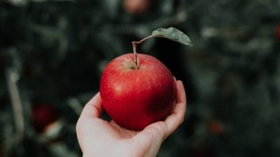 Яблоко в руке. (Priscilla Du Preez via Unsplash)