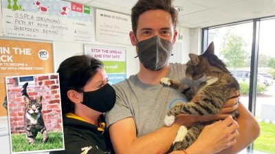(С любезного разрешения Scottish SPCA)
