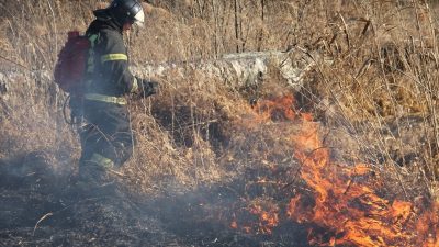 Хабаровский край горит на территории площадью 1621 гектар. 27.mchs.gov.ru/CC BY 4.0