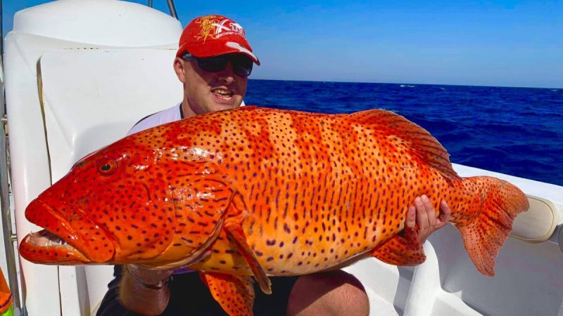 (Courtesy of Tamás Trexler and IGFA) 