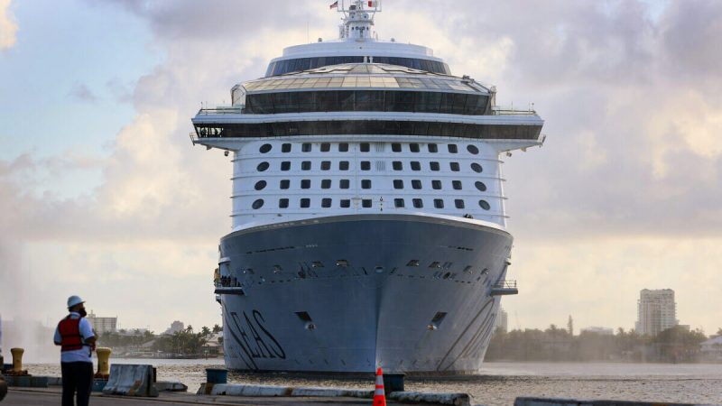Судно Odyssey of The Seas компании Royal Caribbean прибывает в Порт Эверглейдс в Форт-Лодердейле, штат Флорида, 10 июня 2021 года. (Joe Raedle/Getty Images) 