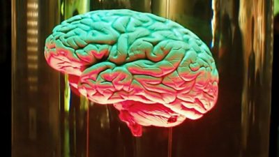 Учёным удалось «научить» нейро-компьютерный интерфейс преобразовывать мысли в текстовые сообщения. (Изображение: Olga Makovey via Dreamstime)