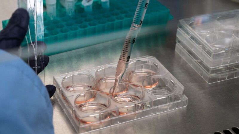 Лабораторный тест в биотехнологической фирме Transgene, которая работает над созданием вакцины против рака на основе неоантигена, в Илкирх-Граффенштадене, Франция, 17 ноября 2021 года. (Patrick Hertzog/AFP via Getty Images) 