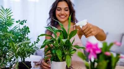 Заботьтесь о своих растениях, и они позаботятся о вас. (Dragana Gordic/Shutterstock)
