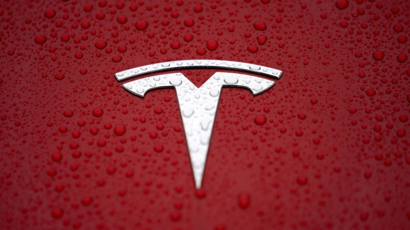 Логотип Tesla на заводе Tesla Shanghai Gigafactory в Шанхае, Китай, 7 января 2019 года. (Aly Song/Reuters)
