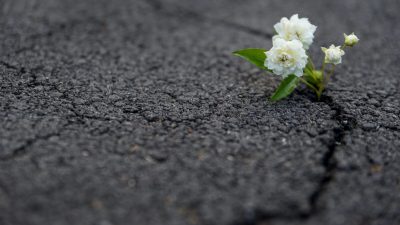 Устойчивость — это способность быстро вернуться в нормальное состояние в трудной ситуации. Некоторые умеют это делать, а кому-то этому необходимо научиться. (Bradley Dennien/Shutterstock.)