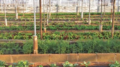 https://pixabay.com/photos/greenhouse-agriculture-farm-3247181/