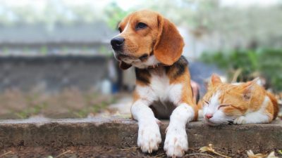 Фото: iStock