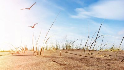 На побережье Балтийского моря. (Фото: iStock)