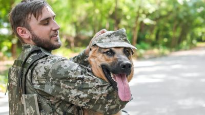 Ветеранам, страдающим посттравматическим стрессовым расстройством, обычно назначают препараты, но растущее число исследований показывает, что служебные собаки являются эффективной альтернативой. Фото: New Africa/Shutterstock