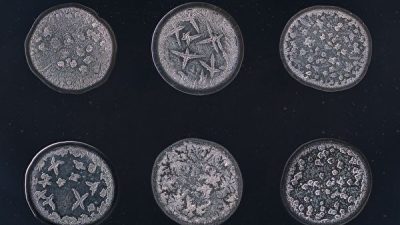 Морис Миккерс изучает микрокосм слёз, заинтересовавшись глубокой связью между формой их кристаллов и уникальными историями, которые предшествовали их появлению. На картинке показаны слёзы шести разных людей (изображение: Courtesy of Maurice Mikkers)