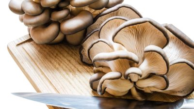 Благодаря своему нежному, пикантному вкусу, вёшенки можно использовать во многих блюдах, и они обладают впечатляющим списком преимуществ для здоровья, достойных вашего внимания. Фото: sergey0506 / Shutterstock