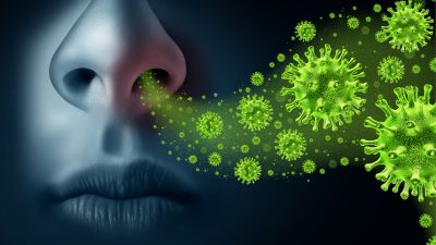 Учёные обнаружили высокий уровень рецепторов АСЕ2 в клетках носа. Фото: Lightspring/Shutterstock