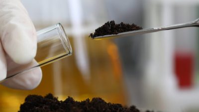 Теиксобактин — это необычный натуральный продукт депсипептида, который был недавно обнаружен в ранее некультивируемой почвенной бактерии. Фото: H_Ko/Shutterstock
