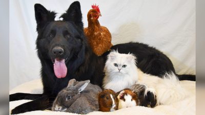 С любезного разрешения Caters News