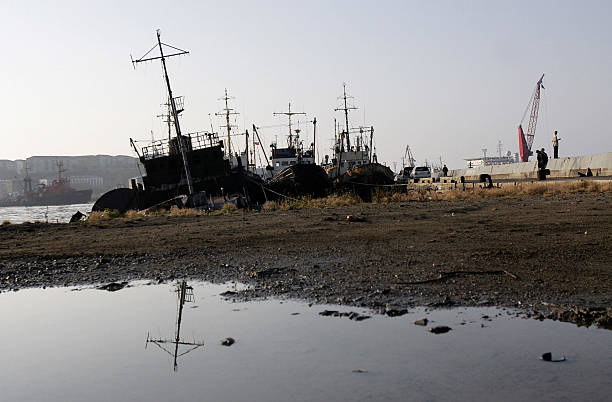 Рыболовецкие суда на Сахалине. Фото: DENIS SINYAKOV/AFP via Getty Images