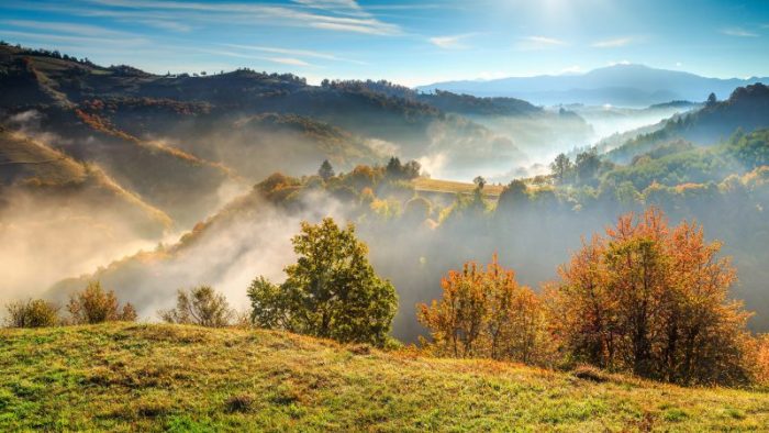 Осень в Карпатах, Трансильвания, Румыния. (Фото: iStock)
