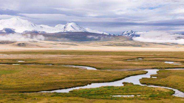 Лето в горах Алтая, на плато Укок. (Фото: iStock)