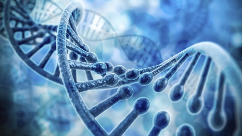 Двойная спираль ДНК. Digitalgenetics/istock