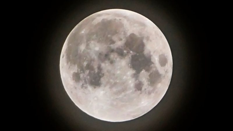 Полная луна, известная как Strawberry Moon, вид из Джакарты перед полутеневым лунным затмением 6 июня 2020 года. Фото: Bay Ismoyo/AFP via Getty Images
