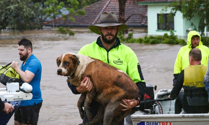 Наводнение произошло в городе Лисмор на северо-востоке Нового Южного Уэльса, Австралия, 28 февраля 2022 года. Фото: AAP Image/Jason O'Brien
