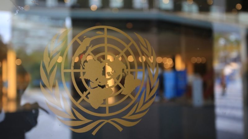 Логотип Организации Объединённых Наций в штаб-квартире ООН в Нью-Йорке, октябрь 2016 г. (LewisTsePuiLung/AdobeStock) 