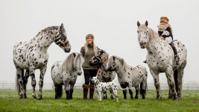 Фото: С любезного разрешения Caters News