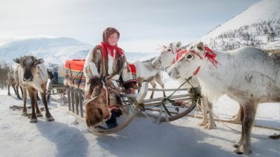 Фото: Любезно предоставлено Daniel Cordan
