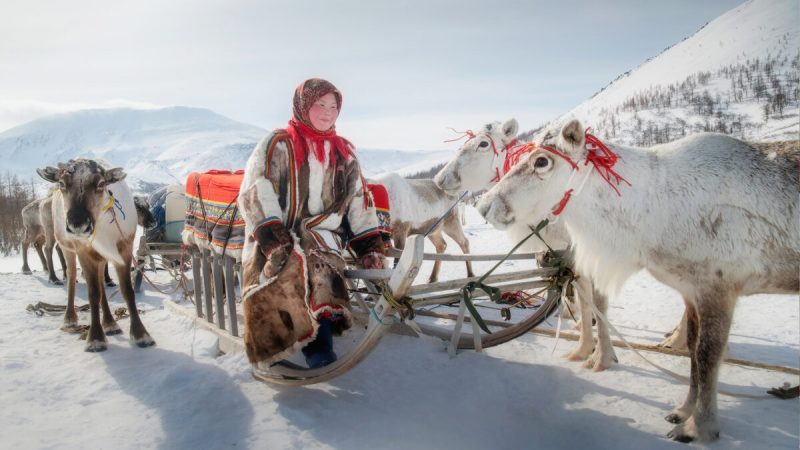 Фотограф запечатлел жизнь кочевых оленеводов Сибири в невероятной серии фотографий Фото: Любезно предоставлено Daniel Cordan