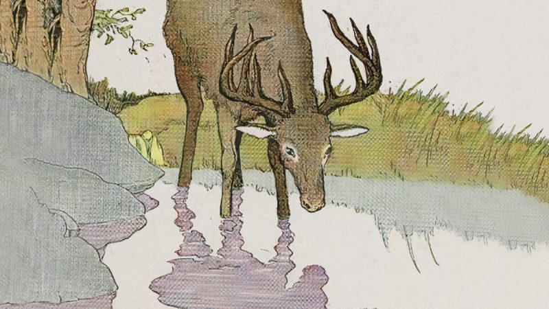 (PD-US)