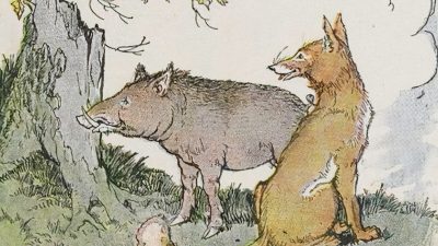 «Кабан и лиса» с иллюстрациями Майло Винтера, из книги «Эзоп для детей», 1919 год. PD-US