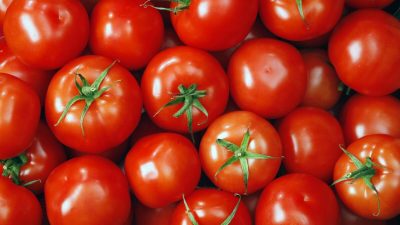 Фото: Deniss09/Shutterstock или Vit-vit/Shutterstock