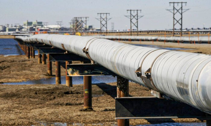 Транзитный нефтепровод проходит через тундру к перекачивающей станции на нефтяном месторождении Прадхо-Бей на северном склоне Аляски. Фото: AlGrillo, File/APPhoto