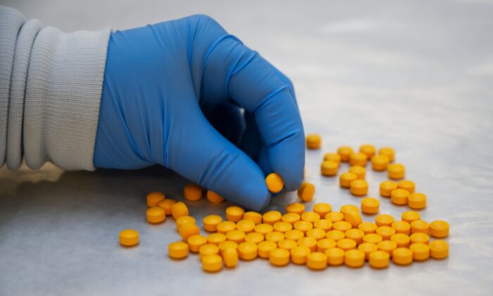 Специалист из Управления по борьбе с наркотиками (DEA) проверяет конфискованные таблетки, содержащие фентанил, в Северо-восточной региональной лаборатории DEA в Нью-Йорке, 8 октября 2019 г.Фото: Don Emmert/AFP через Getty Images
