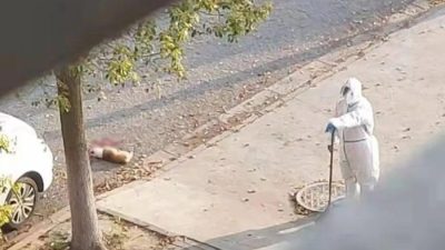 В Китае социальный работник убил домашнюю собаку, когда её хозяев отправили в карантинный центр