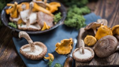 Грибы используют как лекарство с древних времён. Фото: marcin jucha/Shutterstock