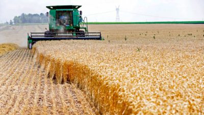 Комбайн собирает урожай мягкой красной озимой пшеницы на ферме в Диксоне, штат Иллинойс, 16 июля 2013 года. Фото: Jim Young/Reuters