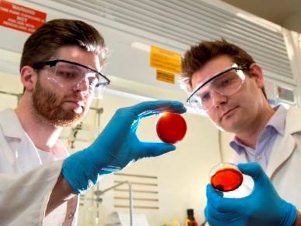 Доктор Макс Уортингтон (слева) в лаборатории Чалкера. (Provided by Flinders University) 