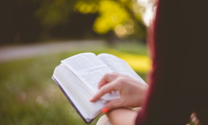 Раковым больным приносит облегчение чтение книг Человек, читающий Библию. (Ben White/Unsplash)