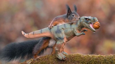 Фото с любезного разрешения Ники Коулмонта 