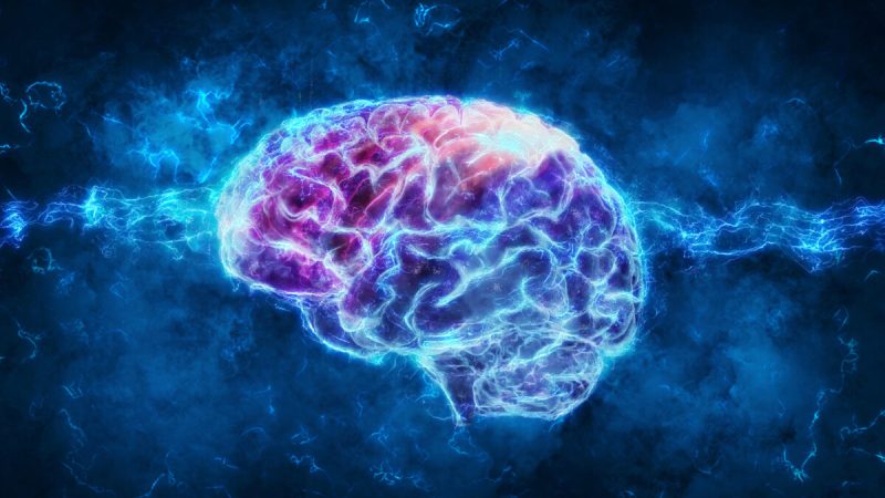Сохранение физической и умственной активности – это ключ к тому, чтобы ваш мозг работал с максимальной скоростью по мере старения. Фото: Andrus Ciprian/Shutterstock 