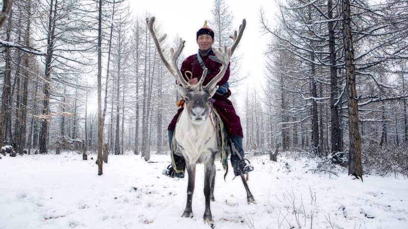 Предоставлено Группой из двух фотографов (Una banda de dos photography)