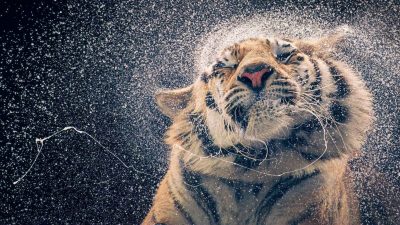 Фото любезно предоставлено Тимом Флачем 