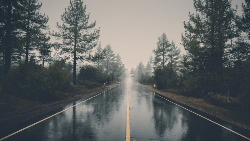 (Фото: pexels.com/ru-ru/@veeterzy/License)     
