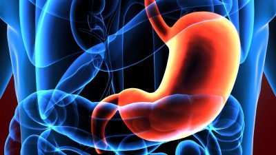 Фото: (Life science/Shutterstock)