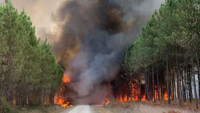 Пламя пожирает деревья во время лесного пожара в Сен-Ман, к югу от Бордо, юго-запад Франции, 10 августа 2022 года. ( SDIS 33 Service Audiovisuel via AP)
