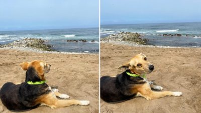 Фотография любезно предоставлена Джоли Мехия