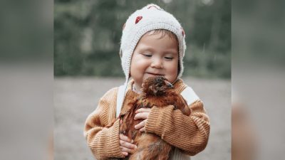 У малышки особая связь с цыплятами, которых она растит