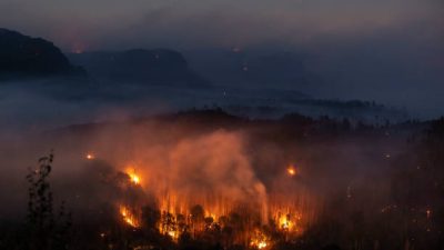 Пожар в тайге. (Фото: Gabriel Kuchta/Getty Images)